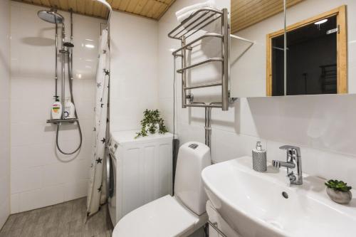 uma casa de banho com um WC, um lavatório e um chuveiro em Penthouse with Sauna - King Size Bed - Free WiFi! em Rovaniemi