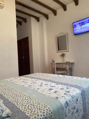 a bedroom with a bed and a tv on the wall at Hotel Meson Fuente del Pino in Olvera