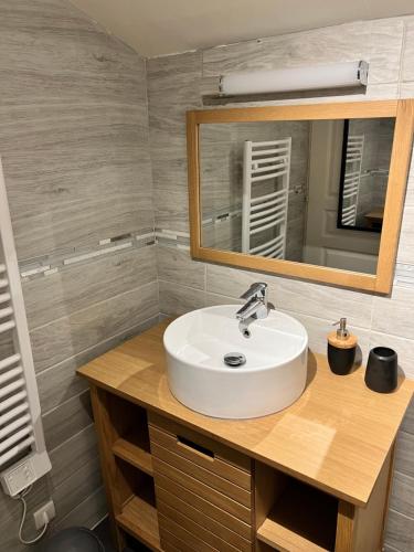 a bathroom with a sink and a mirror at Relais Venise verte in Coulon