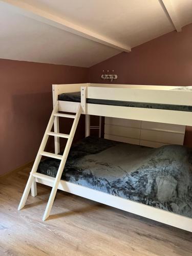 a bunk bed with a ladder in a room at Relais Venise verte in Coulon