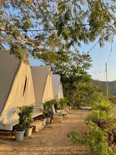 Glamping Tepeyollotl – Photos 5