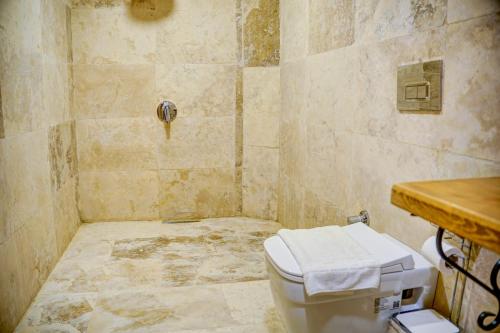 a bathroom with a toilet and a shower at Ala Stone House in Goreme