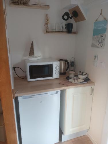 un micro-ondes posé sur un comptoir dans une cuisine dans l'établissement La Chouette Villa, chambre Mazet de 11m2 pièce sous-pente accés par escalier en bois, à Cannes-et-Clairan