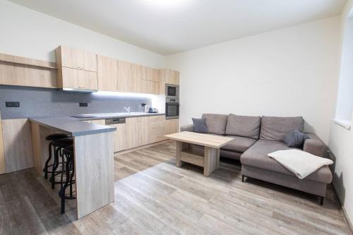 a kitchen and living room with a couch and a table at Apartmány pod Zakletým - Hotel Říčky in Říčky