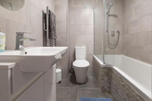 a bathroom with a sink and a toilet and a shower at Cosy Modern Oxford Apartment in Oxford