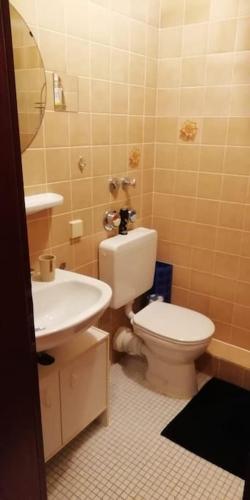 ein Bad mit einem WC und einem Waschbecken in der Unterkunft Nice and cozy 1 room apt in Wiesbaden