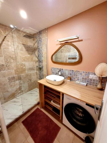 une salle de bain avec un lavabo et une douche dans l'établissement Le Rocher du Lac, à Annecy