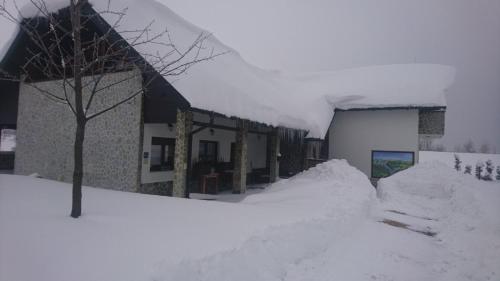 a building covered in snow with a tree in front of it at Villa Stone 1 in Rakovica