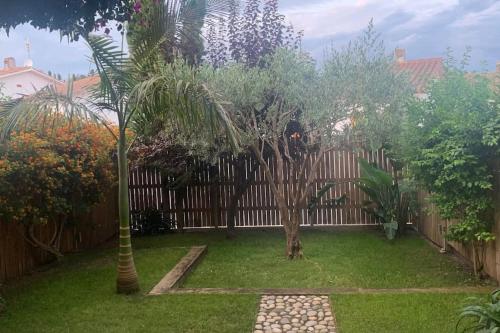 a yard with a fence and a palm tree at Mediterranean house, pool, beach and charm garden in Arenys de Mar