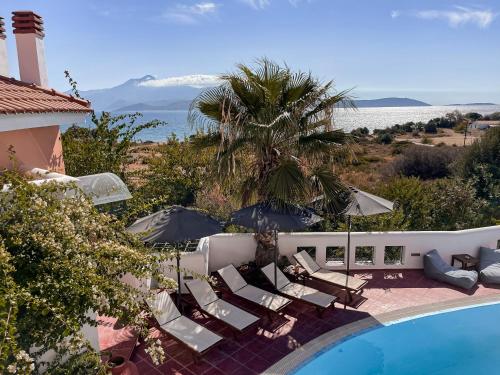 einen Pool mit Liegestühlen, einer Palme und dem Meer in der Unterkunft Nisea Hotel Samos in Pythagoreio