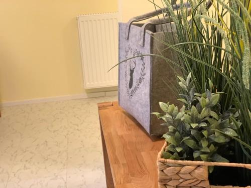 Hernegg Apartment – Photos 3
