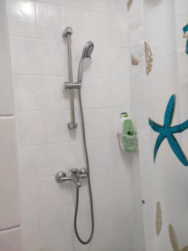 a shower with a shower head in a bathroom at Royal Studio in Old Town in Bucharest