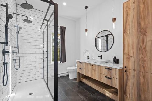 ein Bad mit einer Dusche, einem Waschbecken und einem Spiegel in der Unterkunft Initial / Koselig +spa / MSA in Saint-Férréol-les-Neiges