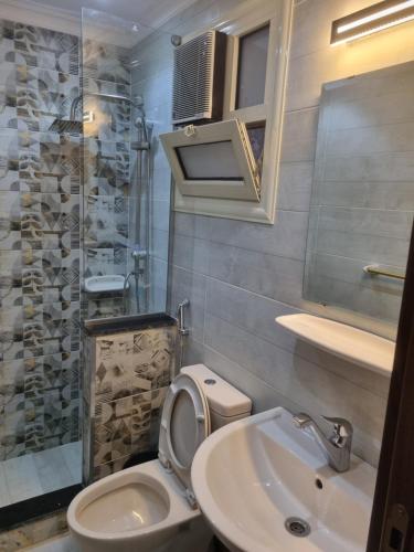 ein kleines Bad mit WC und Waschbecken in der Unterkunft Elite apartment in Mohandessin in Kairo