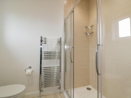a bathroom with a shower and a toilet at 7 Meadow Retreat in Liskeard