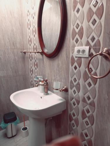 uma casa de banho com um lavatório e um espelho em Conacul cu Nuci 