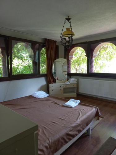 a bedroom with a bed with a mirror and windows at Conacul cu Nuci 