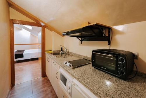 una pequeña cocina con microondas y fregadero en JCH Congreso Apartamentos, en Salamanca