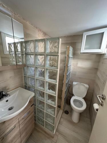 a bathroom with a toilet and a sink at Myconian Avra Apartment in Megali Ammos