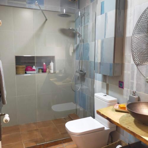 een badkamer met een douche, een toilet en een wastafel bij Una parada a l'Anoia en apartamento compartido in Capellades
