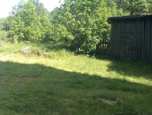 a shadow of a wooden shed in a grass field at Guesthouse Seghetto in Valdidentro