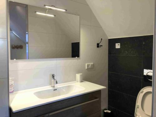 een badkamer met een wastafel, een spiegel en een toilet bij Bazien Luxe kamer bij Strand en Kreek natuur en veel faciliteiten in Westkapelle