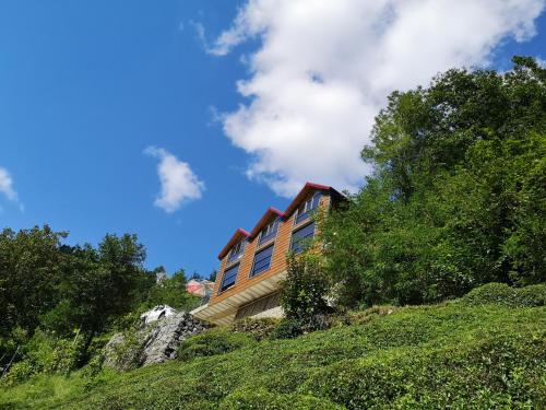 a house on the side of a hill at LİMCORA DAĞEVLERİ&BUNGALOW in Rize