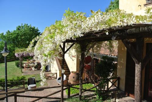 Gallery image of Borgo di Monte Murlo in Guardistallo