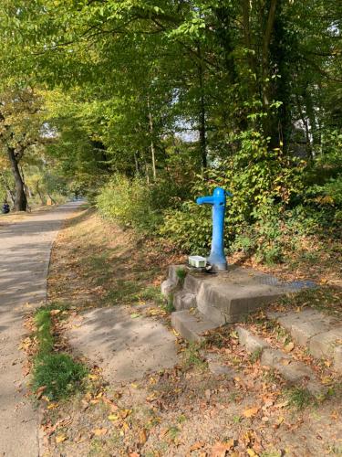 a blue statue sitting on the side of a road at Off mode - Erdei faház a tóparton in Komló