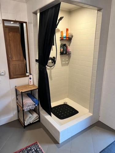 薩拉茨格里瓦的住宿－Randu klēts，浴室内配有黑色淋浴帘和淋浴