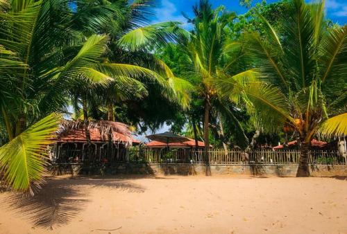 einen Strand mit Palmen vor einem Resort in der Unterkunft Serenity Beach Cabanas in Tangalle