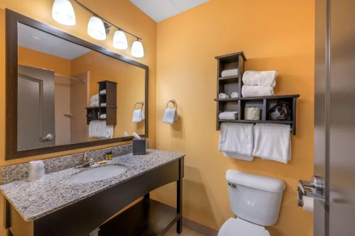 Ένα μπάνιο στο Best Western Plus North Platte Inn & Suites
