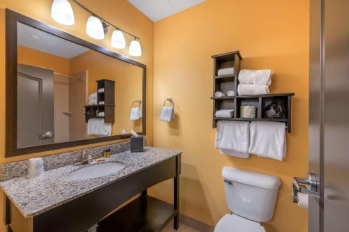 a bathroom with a sink and a toilet and a mirror at Best Western Plus North Platte Inn & Suites in North Platte