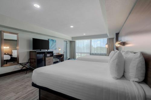 Habitación de hotel con cama grande y TV en Best Western Corpus Christi Airport Hotel, en Corpus Christi