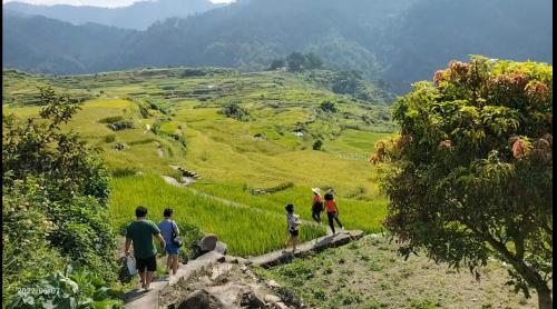 un gruppo di persone che camminano su una collina che domina una valle di Banga-an BnB and Coffee House a Sagada