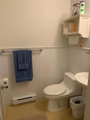 uma casa de banho com um WC, um lavatório e uma toalha azul em Condo Lac Archambault 316 em Saint-Donat-de-Montcalm
