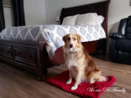 Mountain View Motel & Cottages – Photos 3