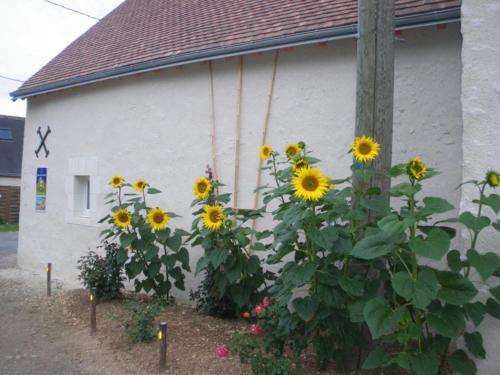 Fotografie z fotogalerie ubytování Gîte confort aux portes des châteaux, jardin, terrasse, WIFI, vélos, proche A85 et balades nature - FR-1-381-502 v destinaci Cigogné