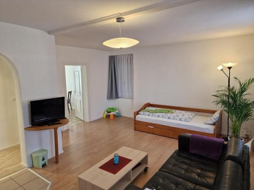 - un salon avec un canapé et une télévision dans l'établissement Bastis Family Apartment, à Lucerne