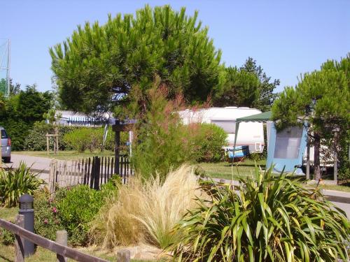 Κήπος έξω από το Camping Bel Air