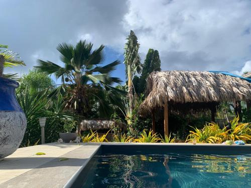 a resort with a swimming pool and a straw hut at Papeth House in Le François