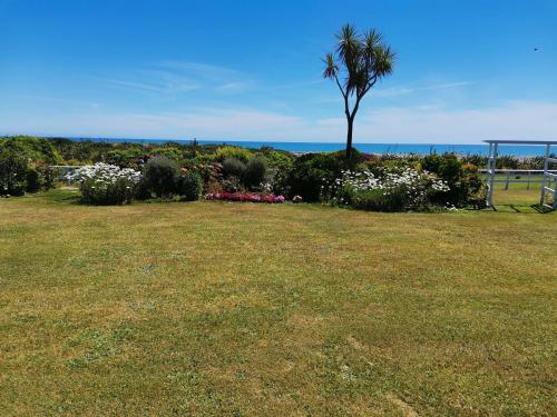 a field of grass with a palm tree and flowers at Awatuna Sunset Lodge in Hokitika