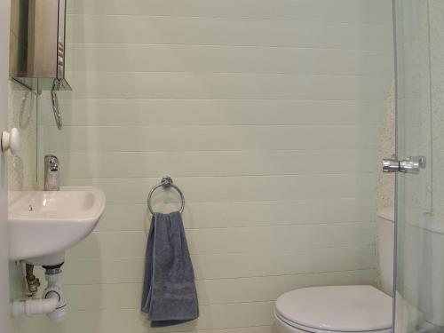 bagno con servizi igienici e lavandino di Privet Pod - Uk41394 a Westhead