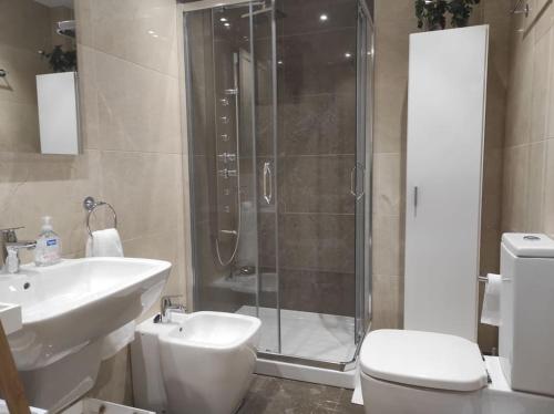 W łazience znajduje się prysznic, toaleta i umywalka. w obiekcie Cordón 4 w mieście Burgos