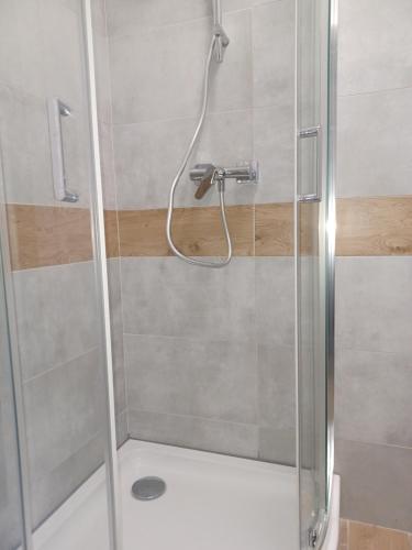 W łazience znajduje się prysznic ze szklanymi drzwiami. w obiekcie APARTAMENTY CENTRUM Lipowa 16 w mieście Białystok