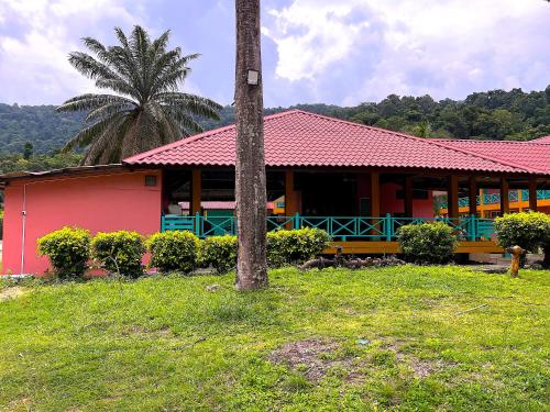 a building with a palm tree in front of it at papaya resort in Kampung Tekek