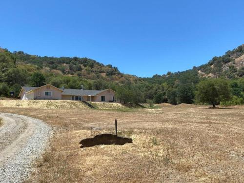 a cow laying in a field in front of a house at Waxberry Getaway Sequoia/Kings Canyon National Pks in Squaw Valley