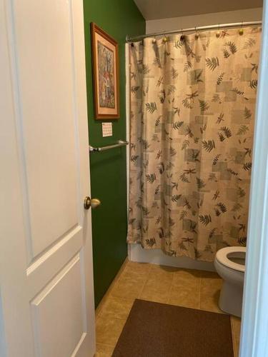 a bathroom with a toilet and a shower curtain at Waxberry Getaway Sequoia/Kings Canyon National Pks in Squaw Valley