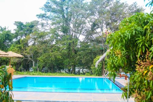 een zwembad met bomen op de achtergrond bij Sigiriya Water Cottage in Sigiriya