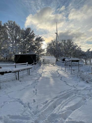 a snow covered path with a windmill in the background at Petryhof in Mörsdorf